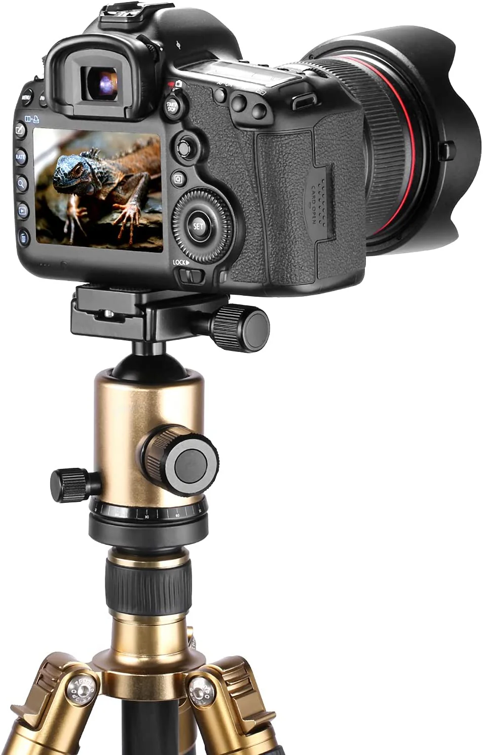 NEEWER 2er Pack PU-60 60 mm Universal Quick-Shoe Platte - Image 4