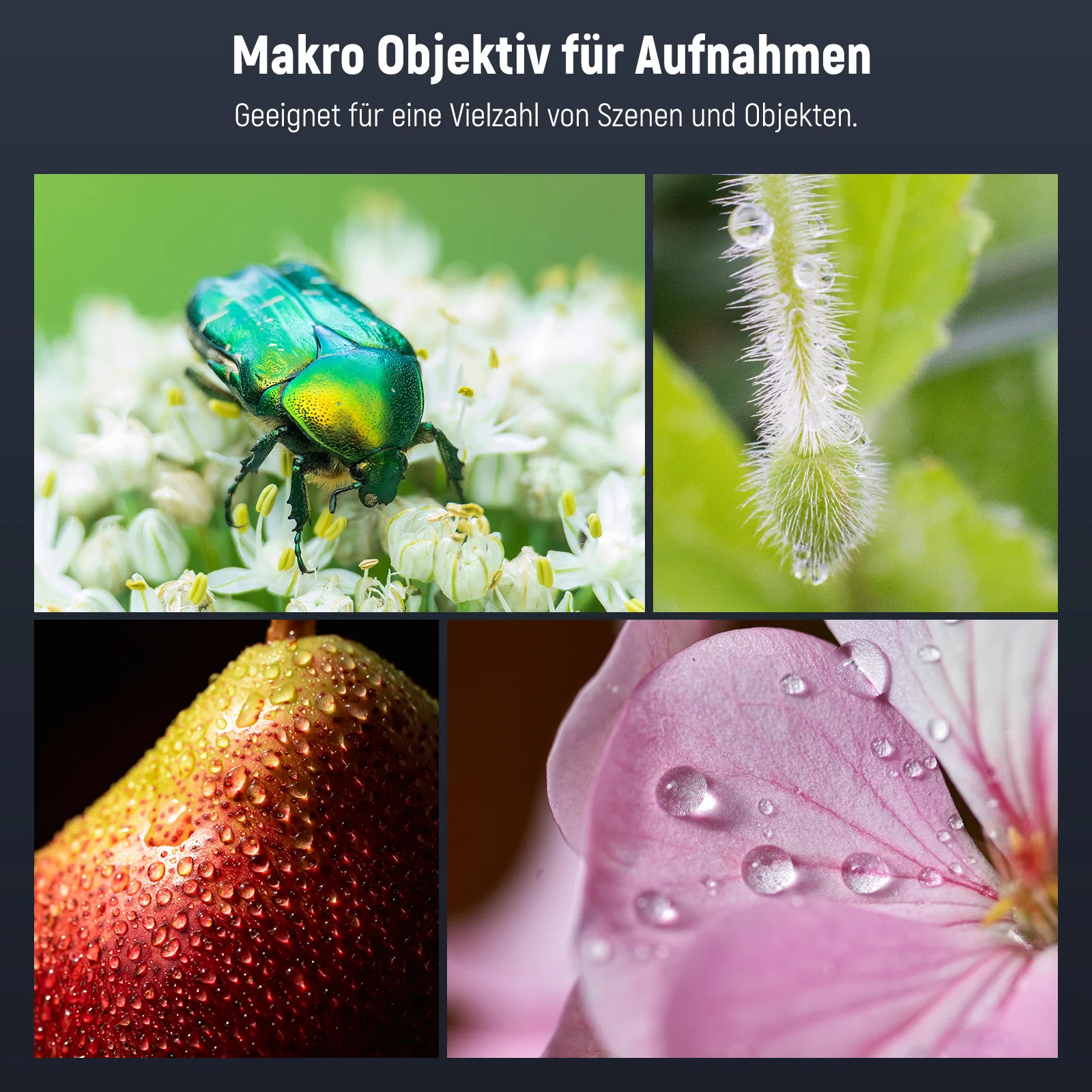 NEEWER LS-26 PRO 105mm Makro Objektiv mit 17mm Gewinde-Handyobjektivclip & 67mm Filteradapter - Image 4
