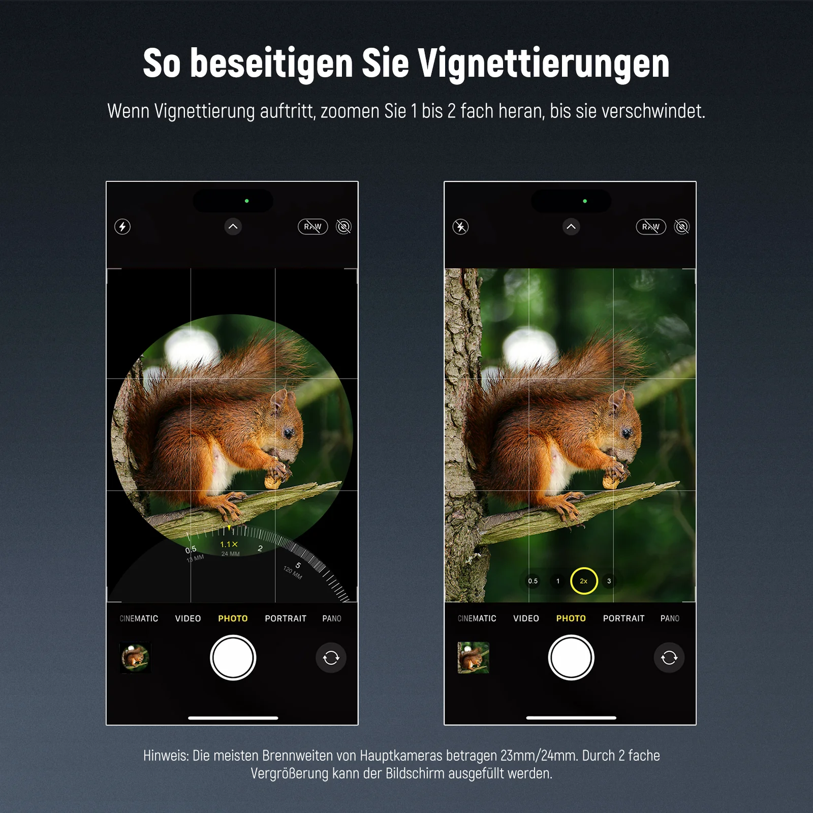 NEEWER LS-78 400mm Teleobjektiv mit 17mm Objektivclip für Smartphone Kamera - Image 6