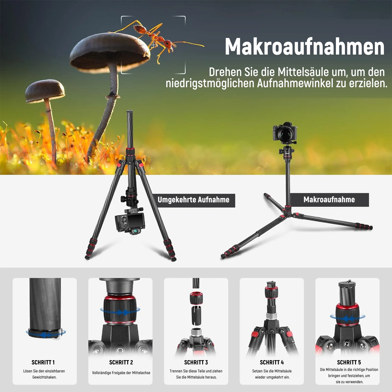 NEEWER N55C 68" 172 cm Kamerastativ / Einbeinstativ aus Kohlefaser - Image 5